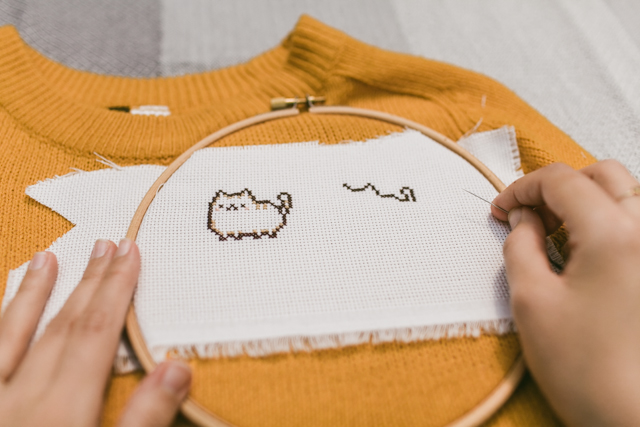 Pusheen cross-stitch DIY for a sweater - The cat, you and us