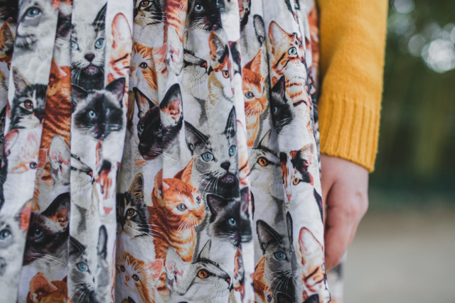 Catweek outfit - The cat, you and us