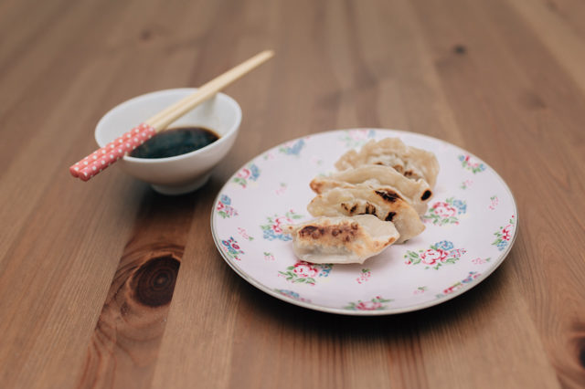 Homemade gyoza - The cat, you and us