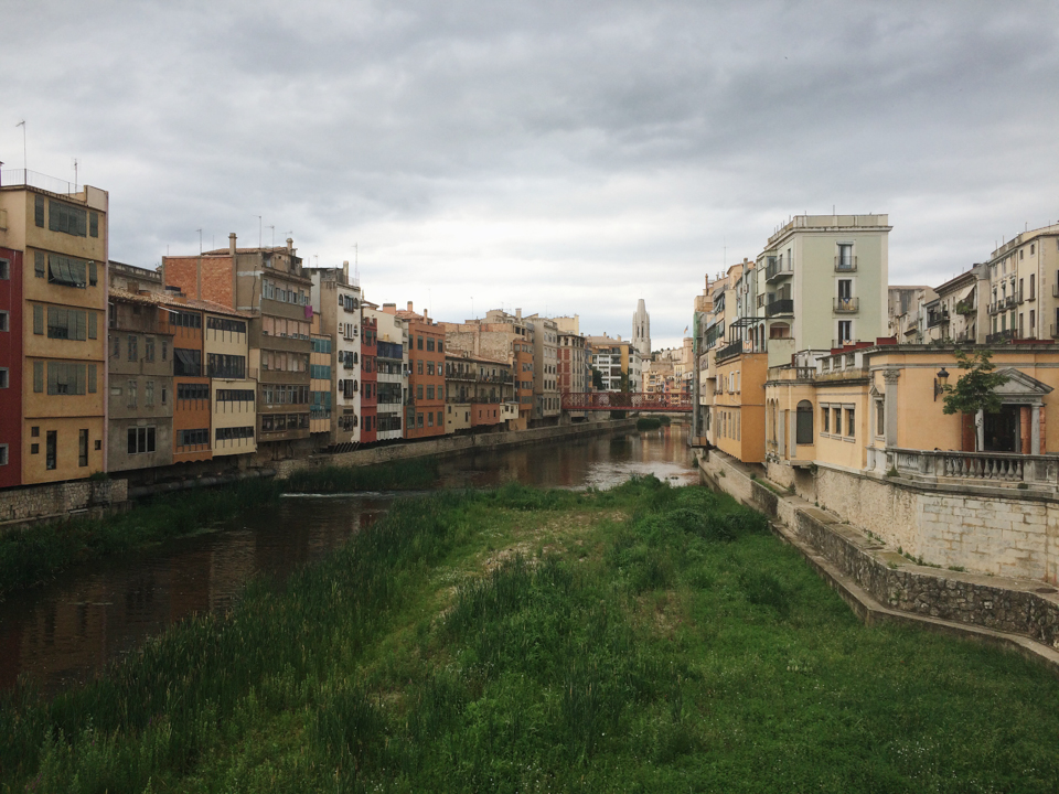 Girona - The cat, you and us