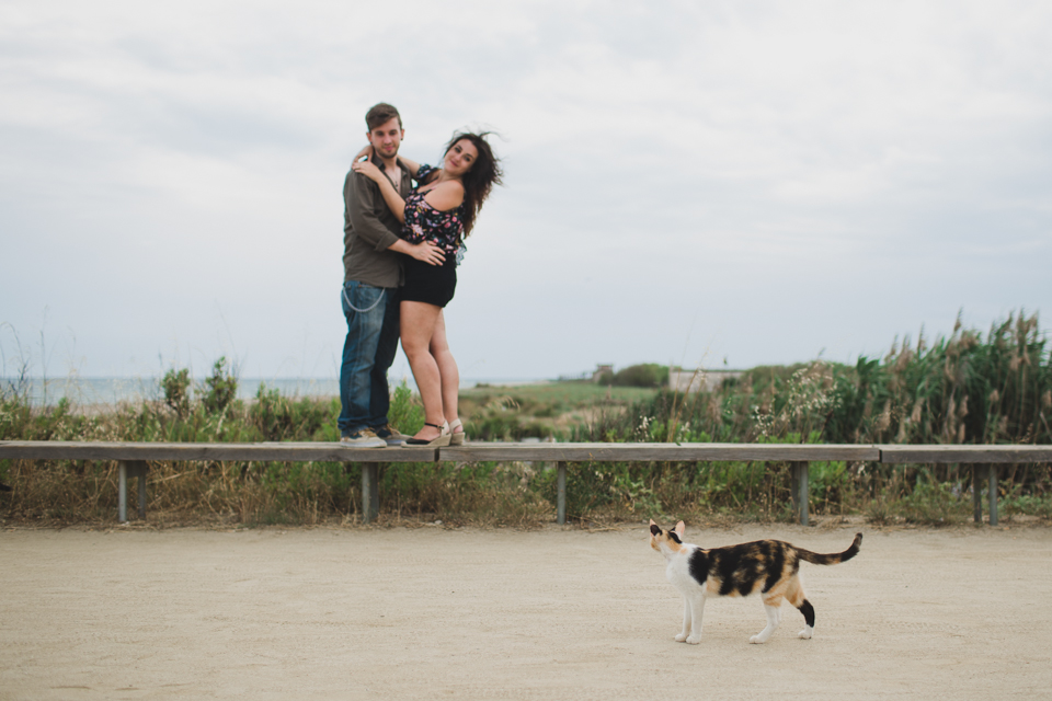 Delta del Lobregat engagement cat