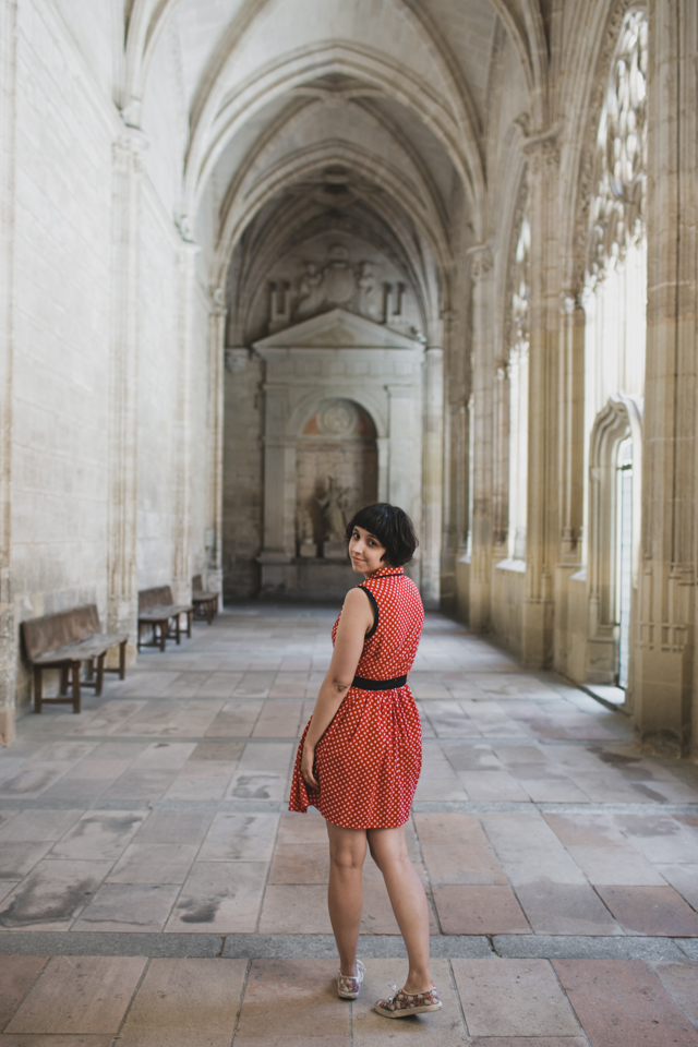 Catedral de Segovia - The cat, you and us