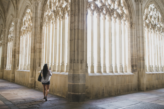 Catedral de Segovia - The cat, you and us