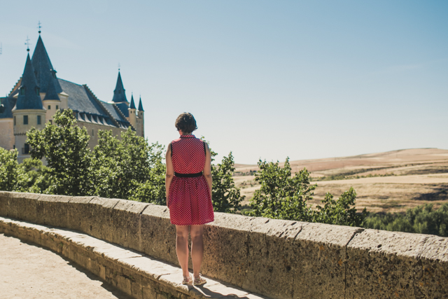 Alcazar de Segovia - The cat, you and us