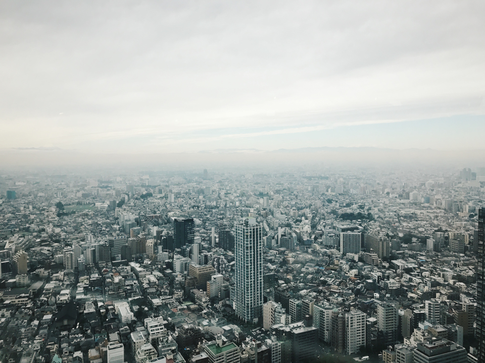Tokyo views from Government Building Shinjuku - The ca