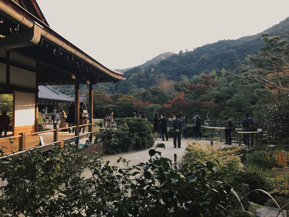 Tenryu-ji temple autumn - The cat, you and us