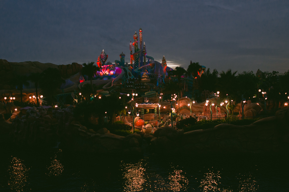 Tokyo DisneySea at night - The cat, you and us