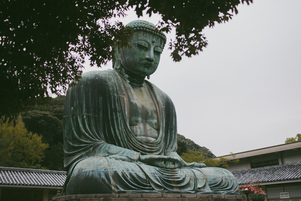 Daibutsu Great Buddha Kamakura - The cat, you and us