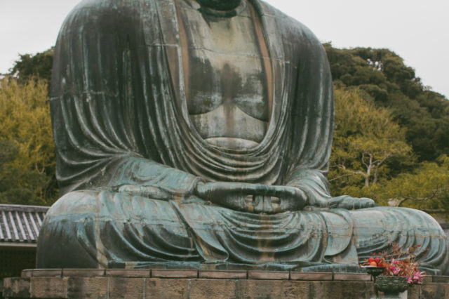 Daibutsu Great Buddha Kamakura - The cat, you and us
