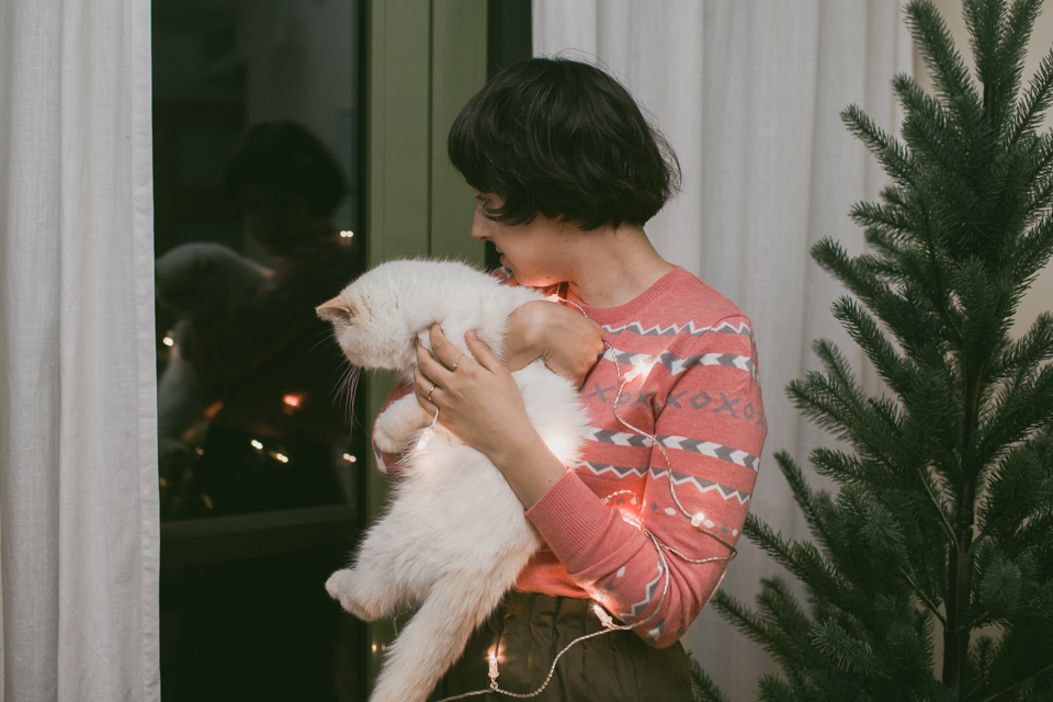 Christmas home decor 2016 - The cat, you and us