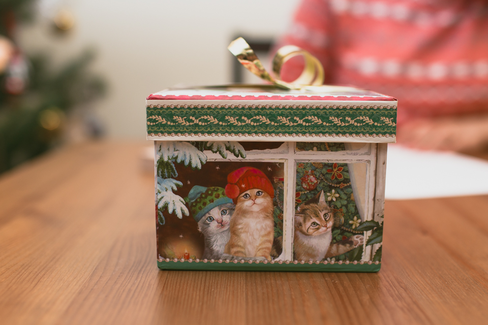 Christmas eve gift wrapping - The cat, you and us