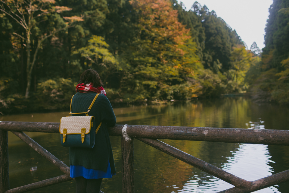 Onshihakone Park - The cat, you and us