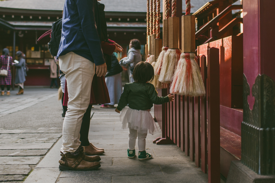 Hakone shrine - The cat, you and us