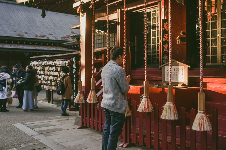 Hakone shrine - The cat, you and us