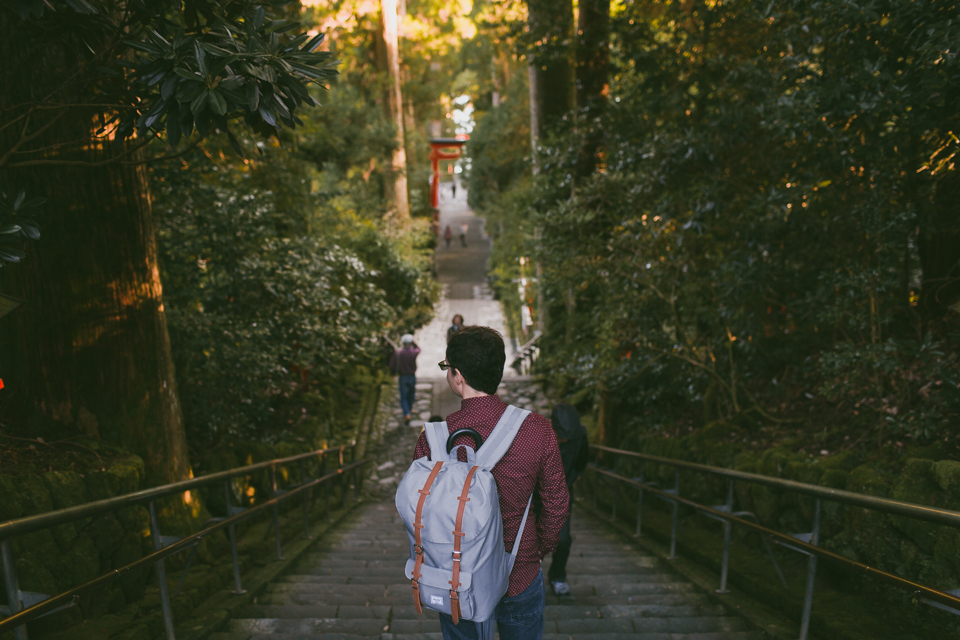 Hakone shrine - The cat, you and us