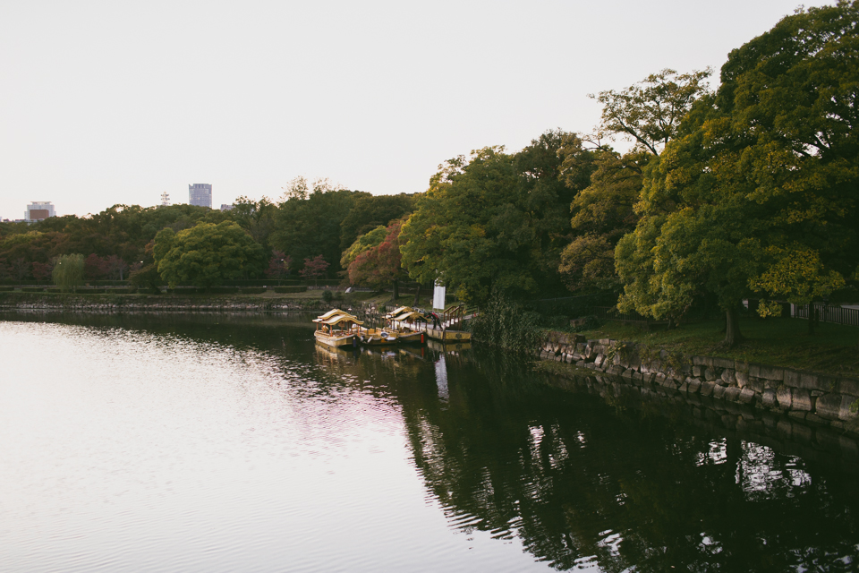 Osaka castle - The cat, you and us