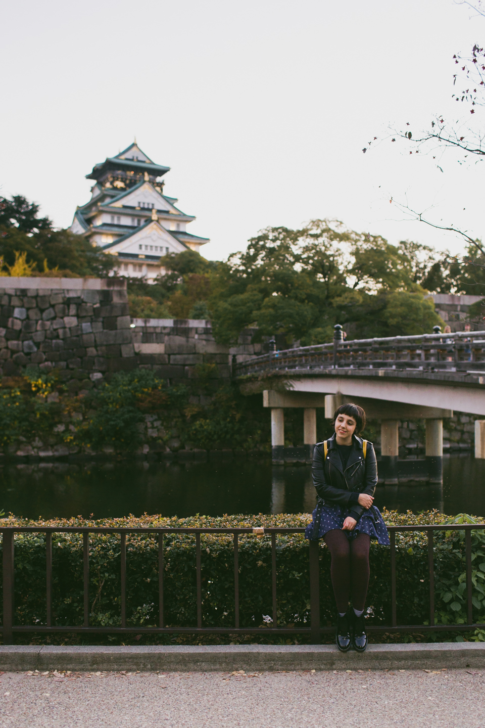 Osaka castle - The cat, you and us