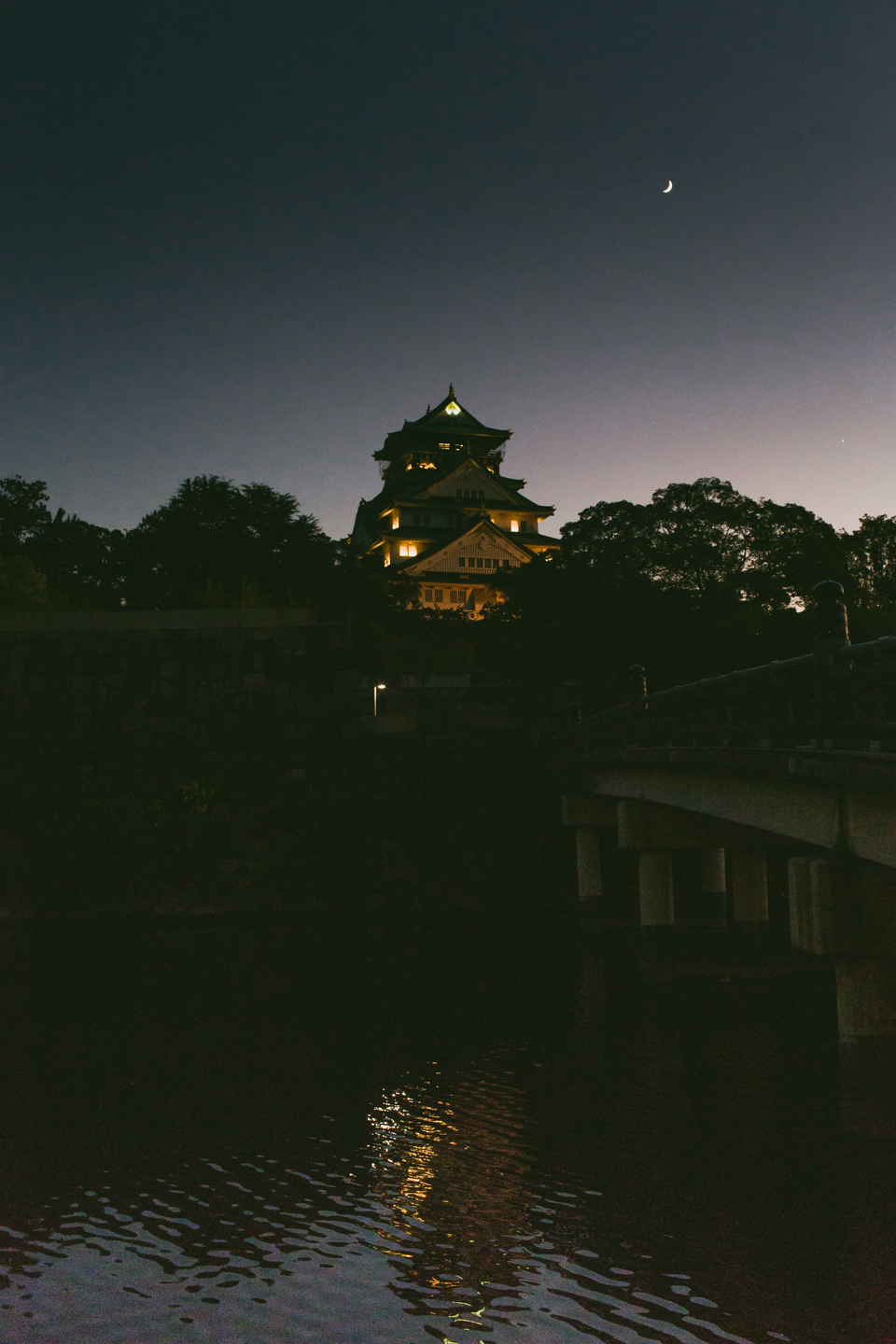 Osaka castle at night - The cat, you and us