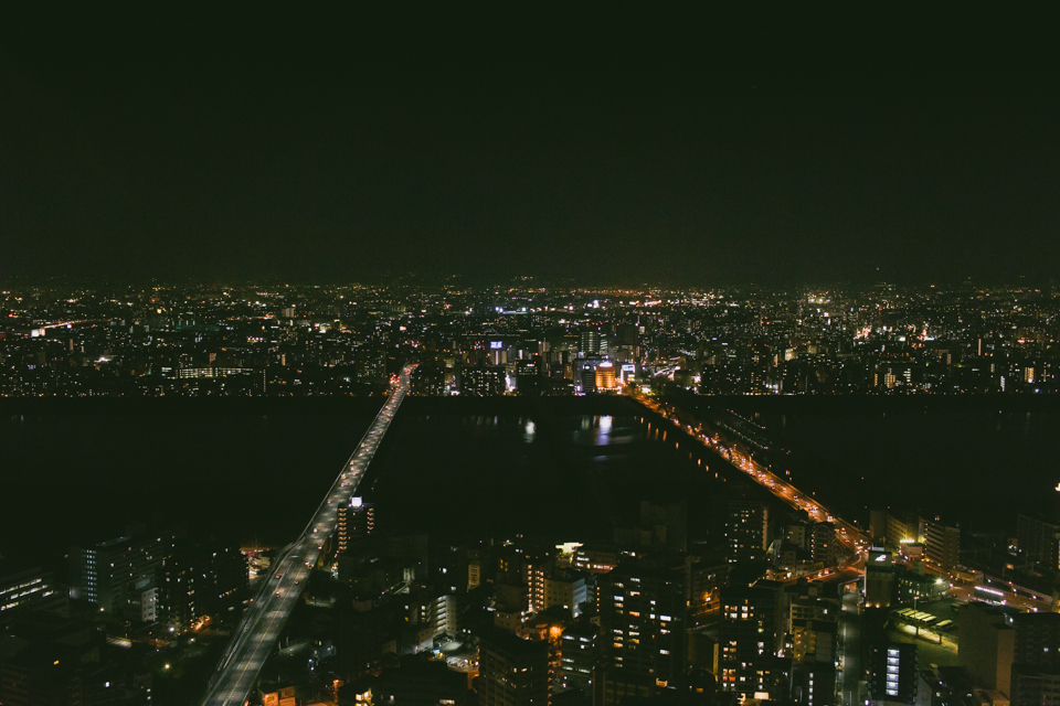 Umeda sky building - The cat, you and us