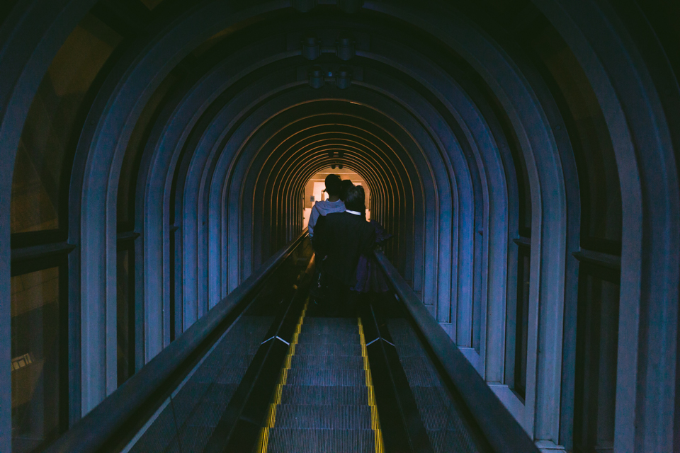 Umeda sky building - The cat, you and us