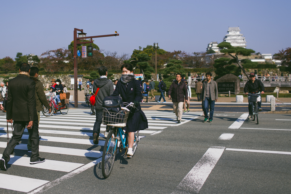 Himeji Castle - The cat, you and us