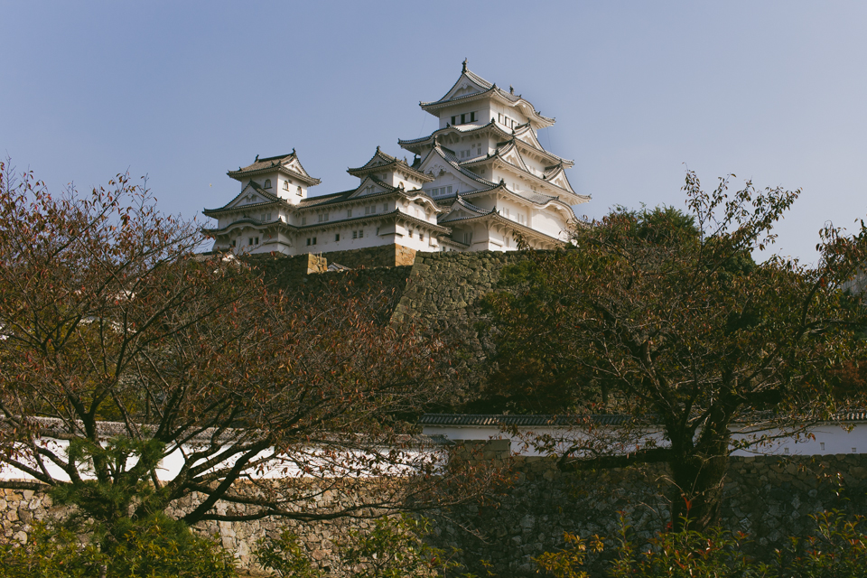 Himeji Castle - The cat, you and us