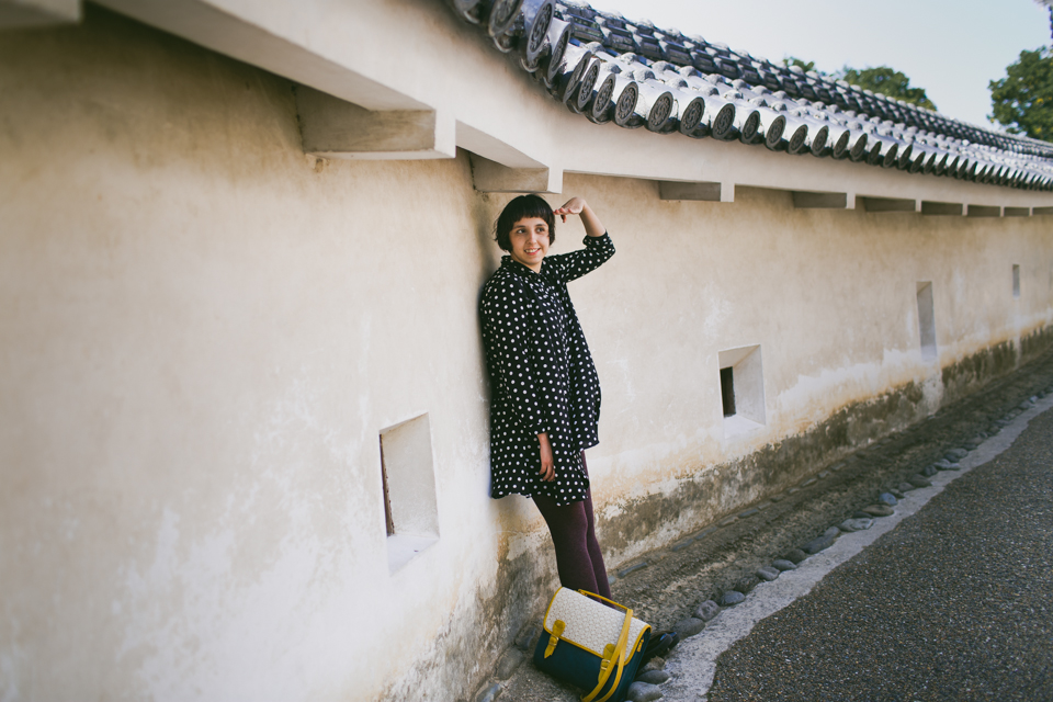 Himeji Castle walls - The cat, you and us