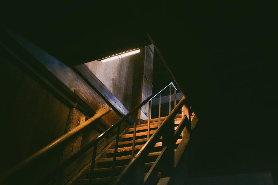 Himeji Castle stairs - The cat, you and us