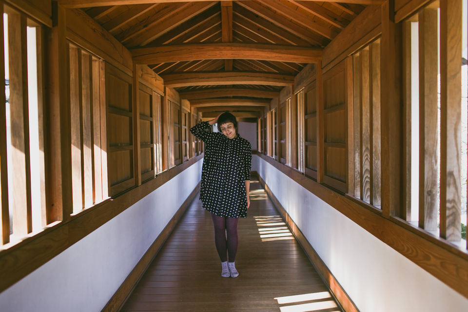 Himeji Castle corridor - The cat, you and us