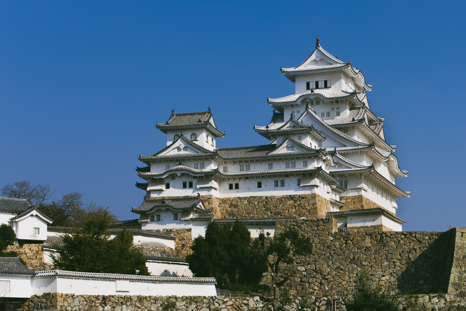 Himeji Castle - The cat, you and us