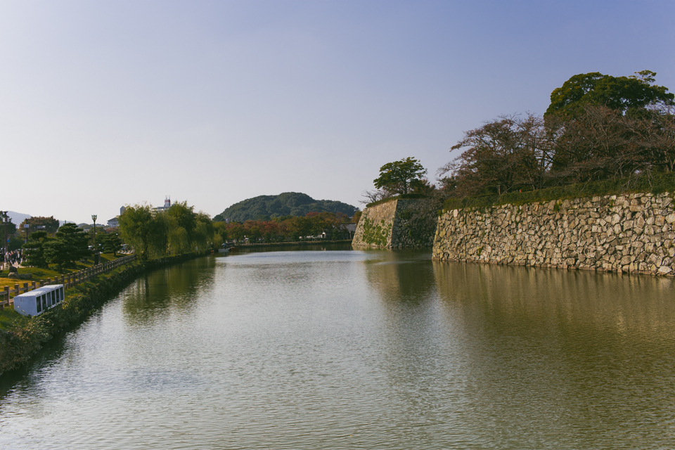 Himeji Castle grounds - The cat, you and us