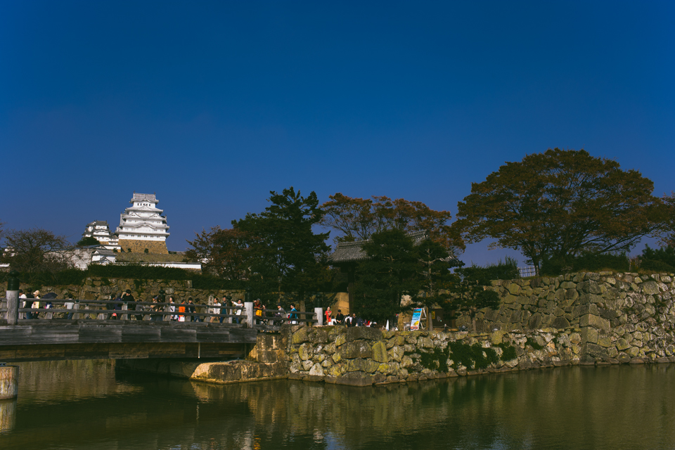 Himeji Castle - The cat, you and us