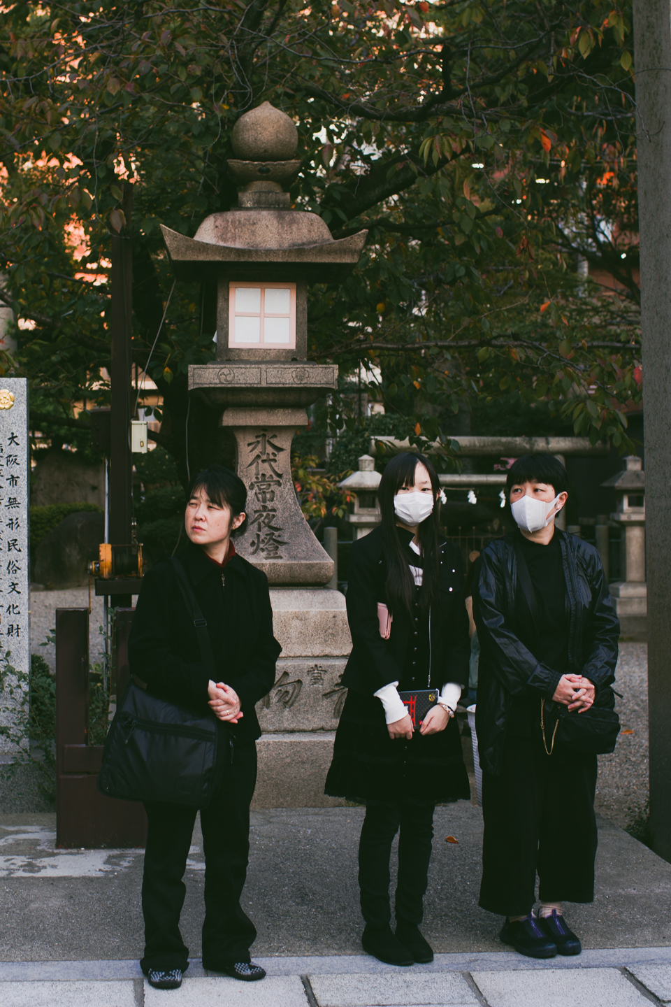 Japanese White face masks - The cat, you and us