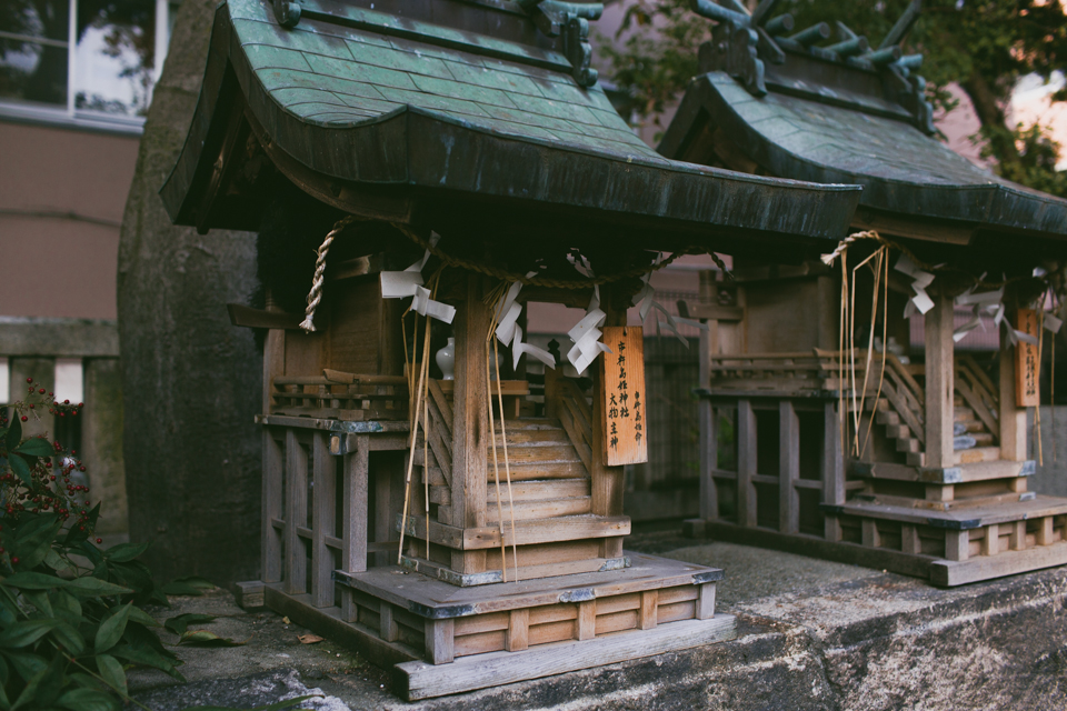 Namba dragon temple - The cat, you and us