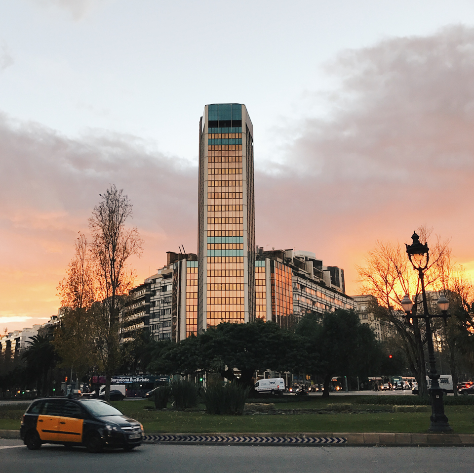 Barcelona afternoons are pastel color - The cat, you and us