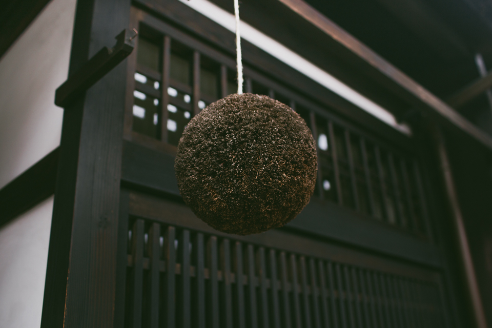 Sugidama dry brown ball in front of Japanese house - The cat, you and us