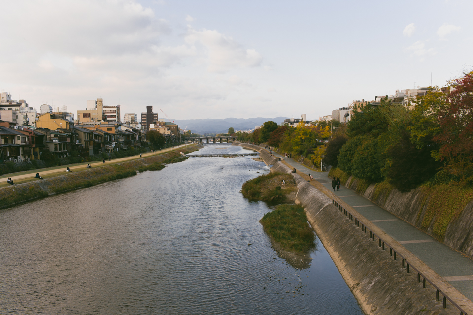 Kyoto riverside - The cat, you and us