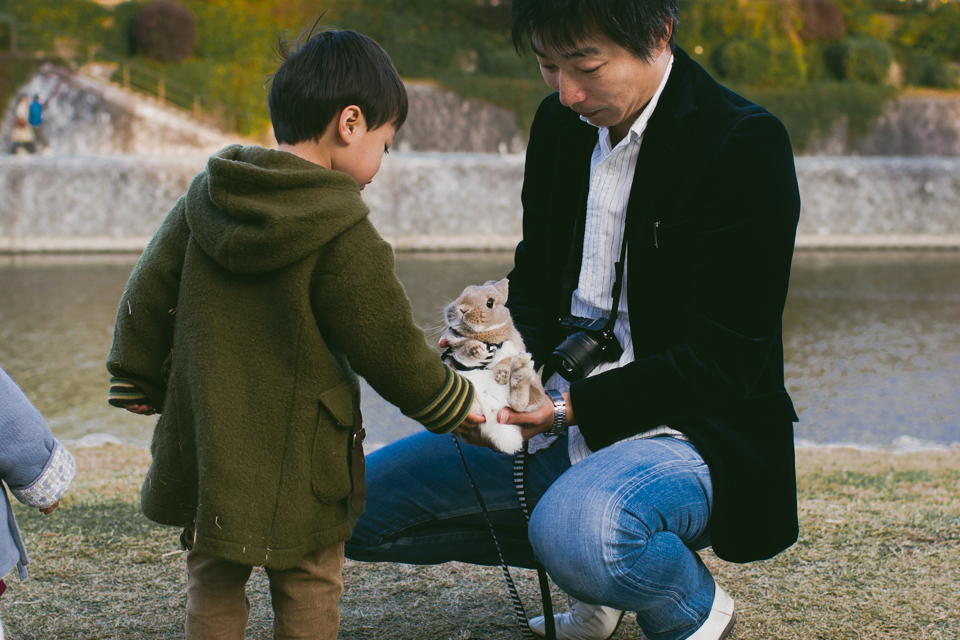 Small Japanese rabbit - The cat, you and us