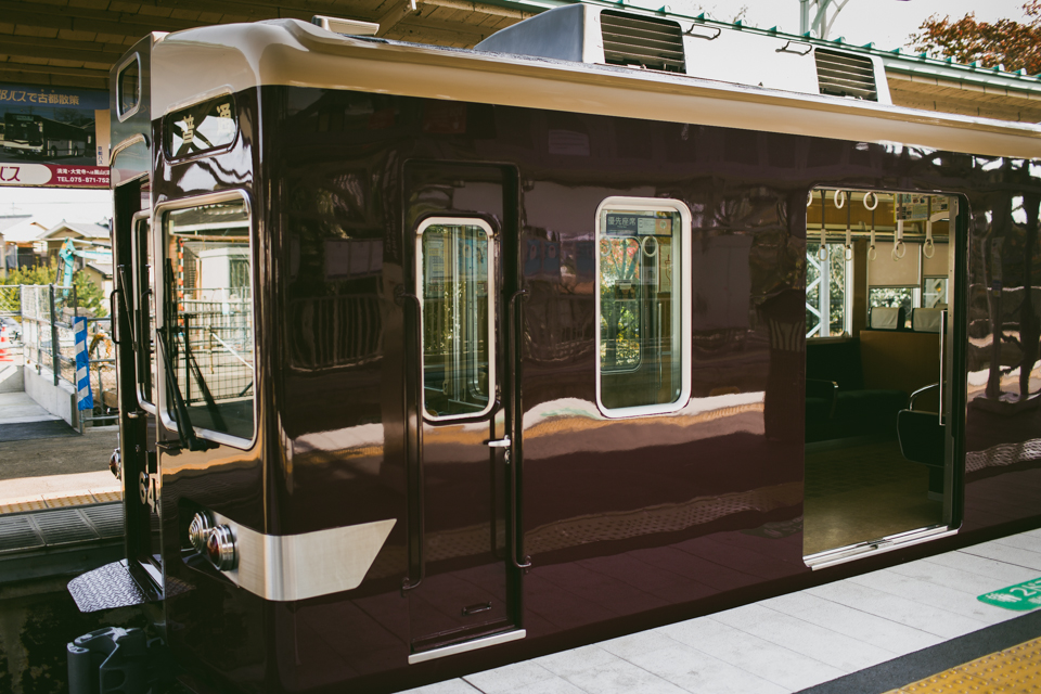 Arashiyama train - The cat, you and us