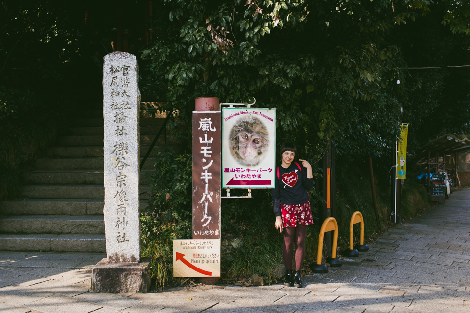 Arashiyama monkey park - The cat, you and us