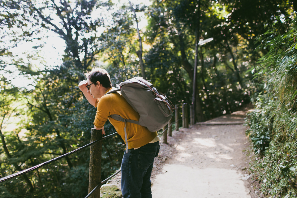 Arashiyama monkey park - The cat, you and us