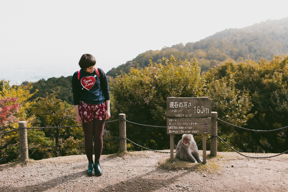 Arashiyama monkey park - The cat, you and us