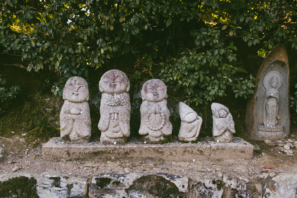 Arashiyama - The cat, you and us