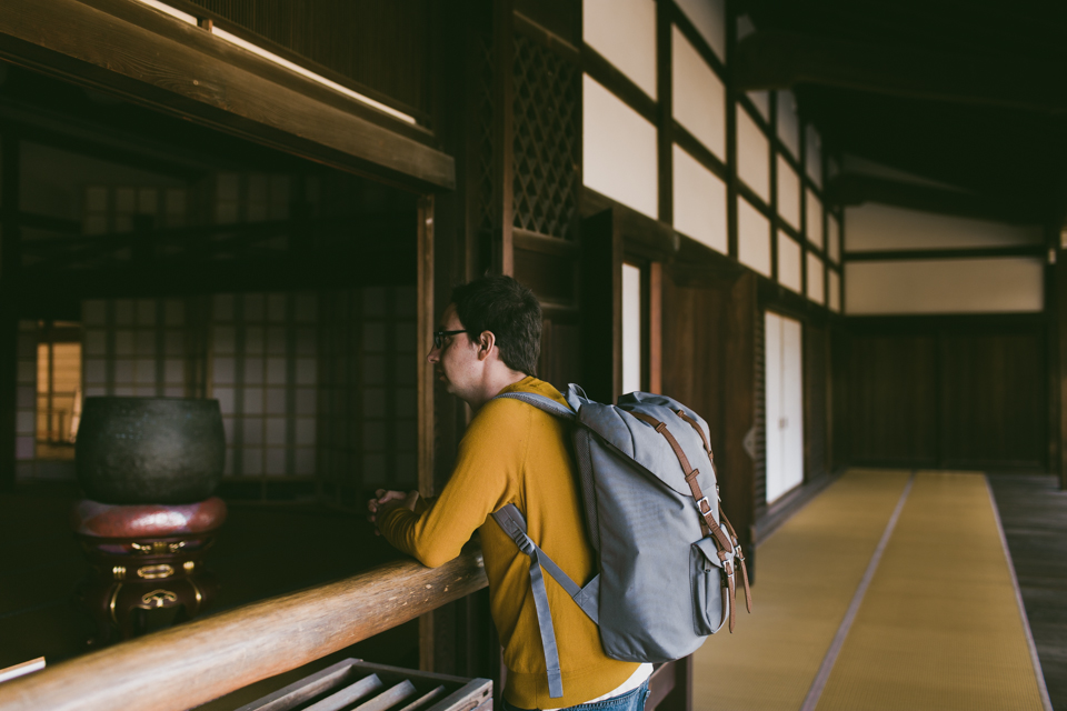 Tenryuji Temple - The cat, you and us