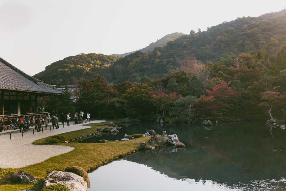 Tenryuji Temple - The cat, you and us