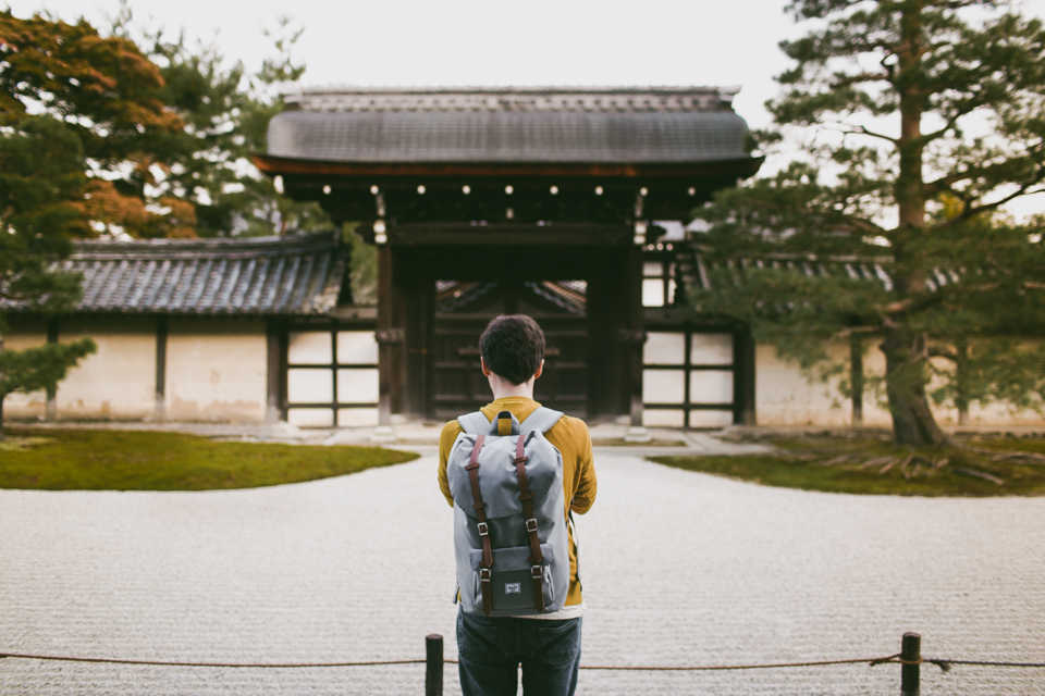 Tenryuji Temple - The cat, you and us