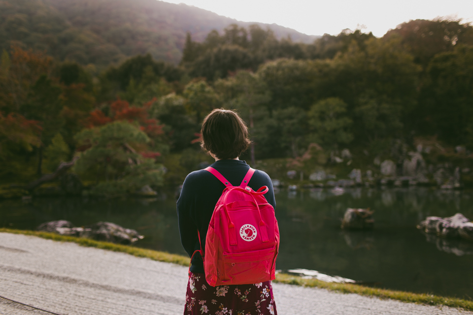 Tenryuji Temple - The cat, you and us