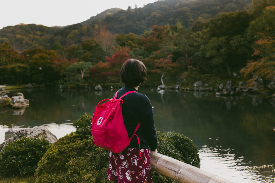 Tenryuji Temple - The cat, you and us