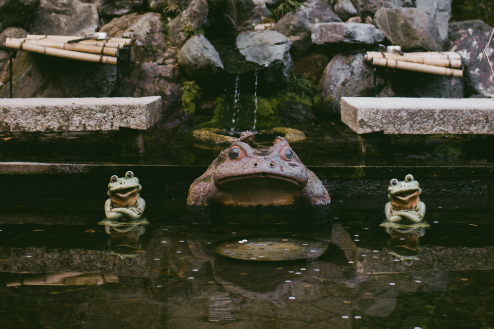 Tenryuji Temple - The cat, you and us