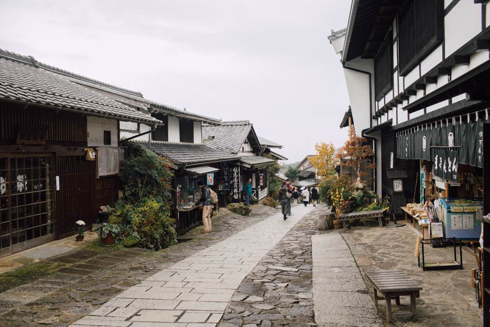 Magome - The cat, you and us